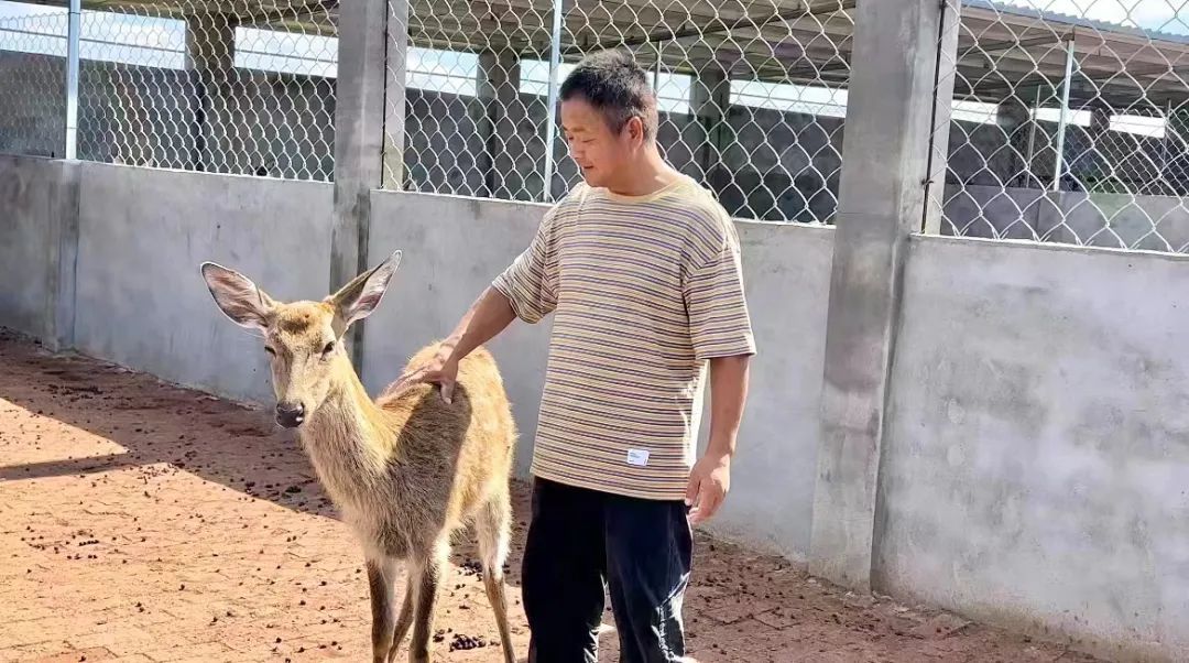 波克捕鱼那个版本可以送东西